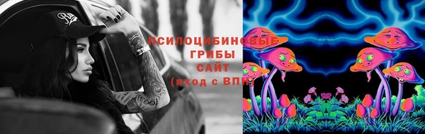 СК Абинск
