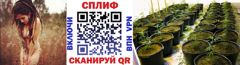 где продают наркотики  hydra как зайти  Канабис ГИДРОПОН  Костомукша 